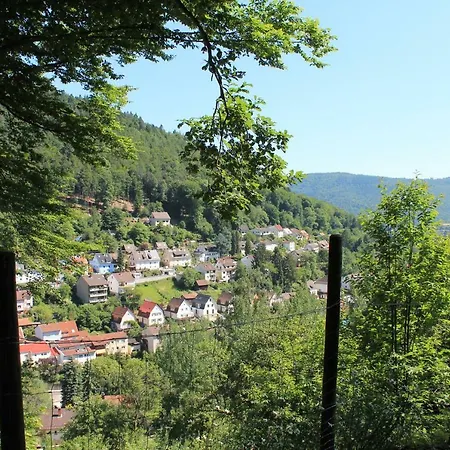 Apartment Lenas Familienfreundliche Ferienwohnung Heidelberg